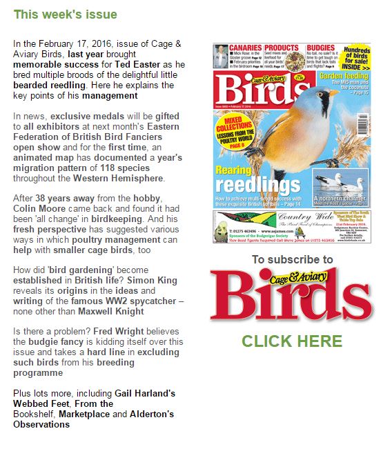 MK Cage &amp; Aviary Website 17 Feb 2016