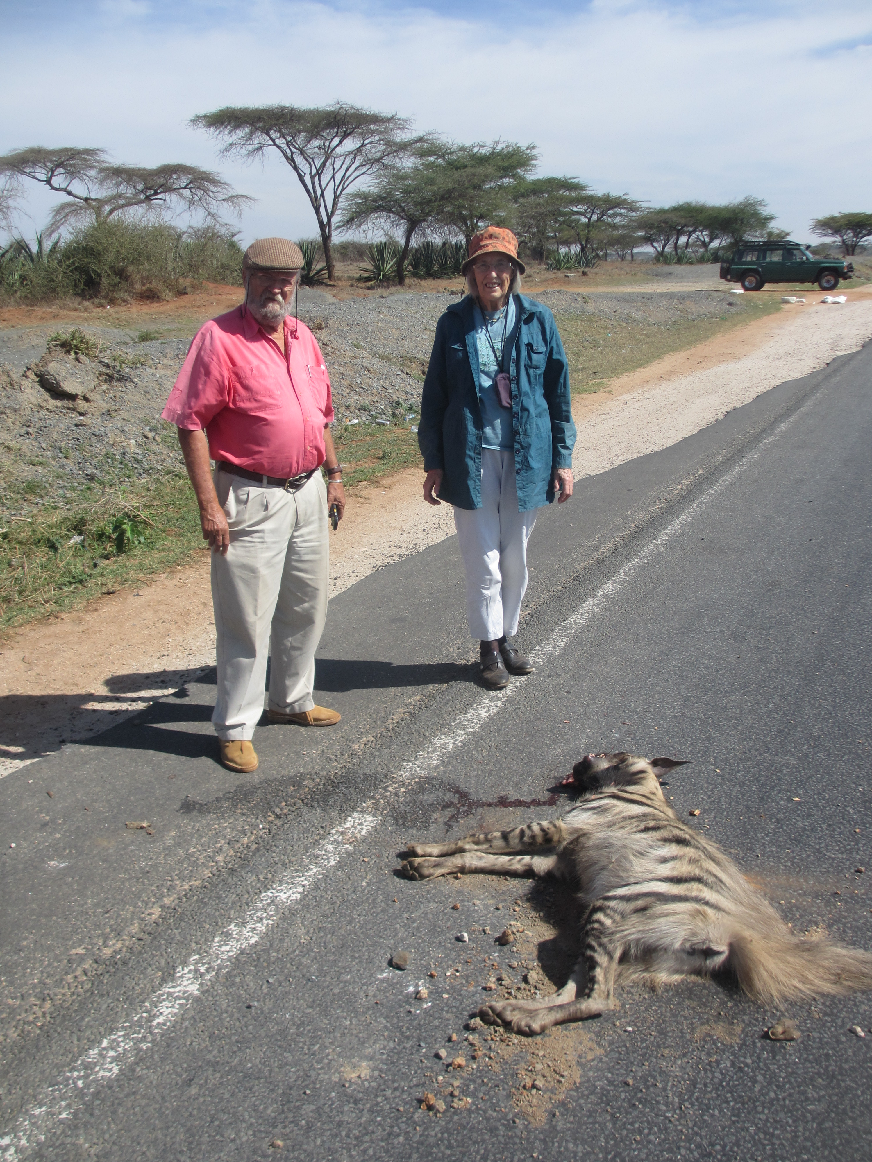dead striped hyaena