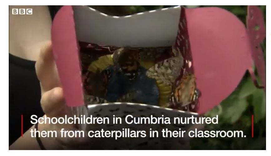 Schoolchidren release butterflies BBC