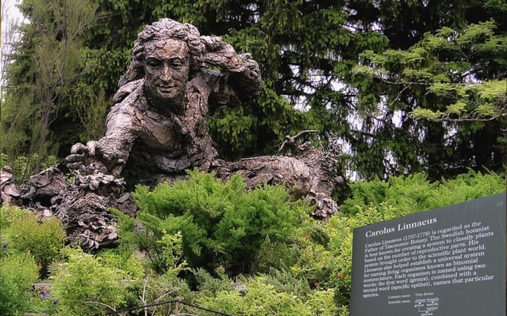 Threat to the Linnean Society of London @Helen_Whately @LinneanSociety #SupportGSL #LinneanatBH and&nbsp;#SocAntiquaries