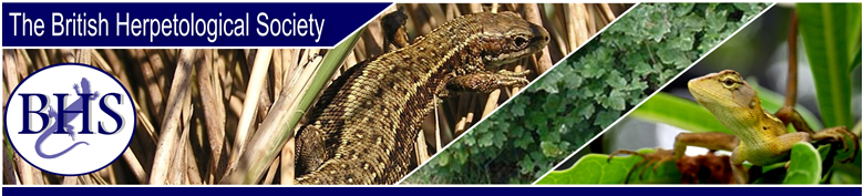 1) British society logo.jpg