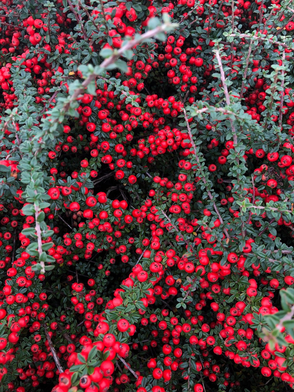 An autumn walk in&nbsp;pictures