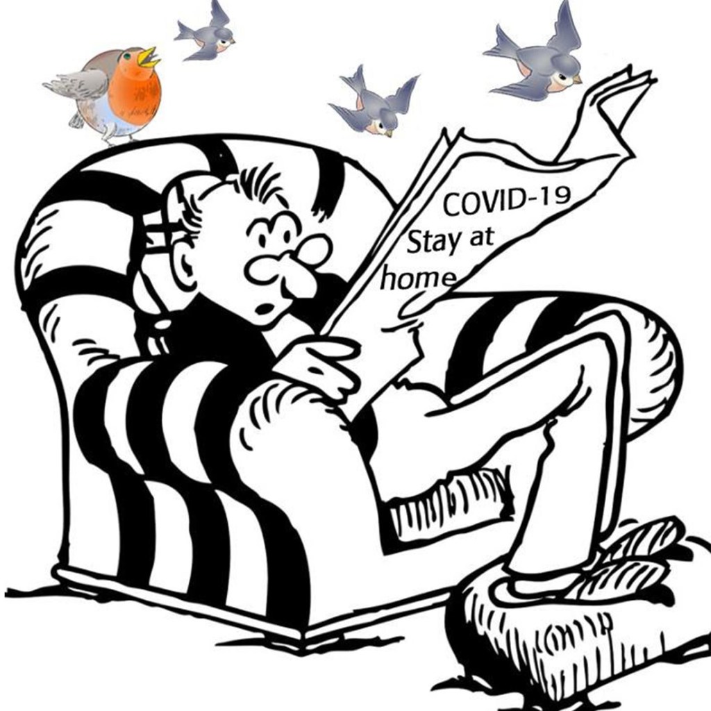 1 – It’s a great time to be an ‘Armchair Naturalist’