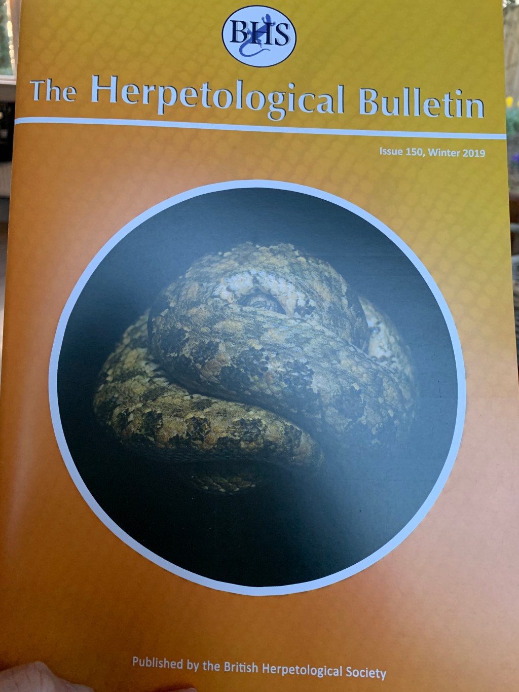We’re in The Herpetological&nbsp;Bulletin!