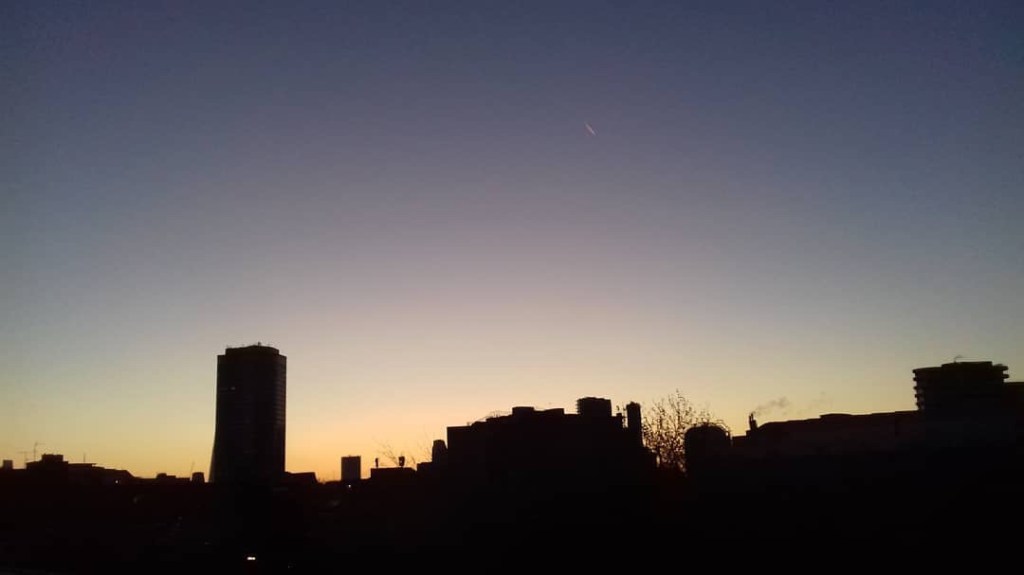 Bats, birds, bold foxes and stargazing: is nature reclaiming the city of&nbsp;London?