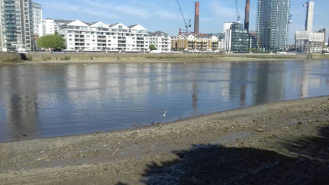 200423 Heron at Battersea