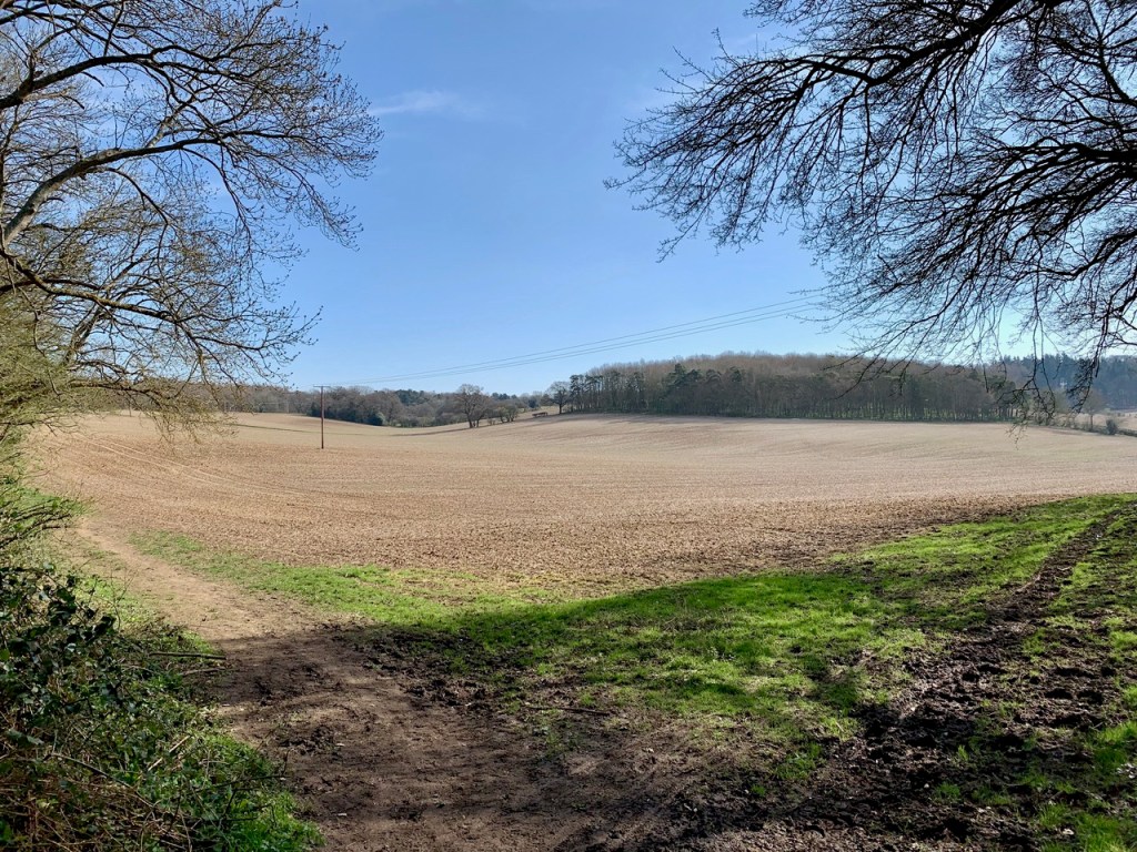 What happens when humans ‘turn off’ for a&nbsp;moment.