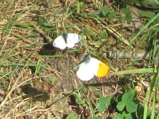 Here in Germany, we do watch a lot from our&nbsp;windows