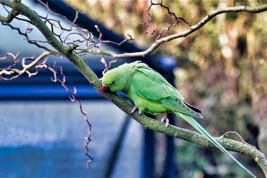 Greetings from London&nbsp;SE4