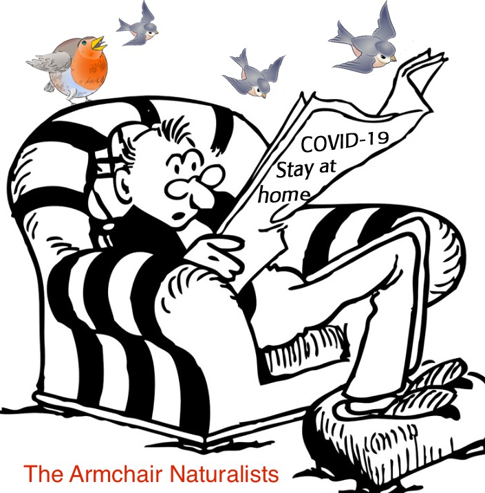 Podcast episode 4 – ‘Don’t keep your natural history to yourself’