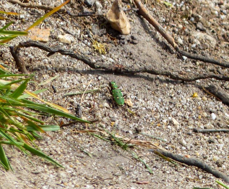 From Paul Budgen,&nbsp;FLS