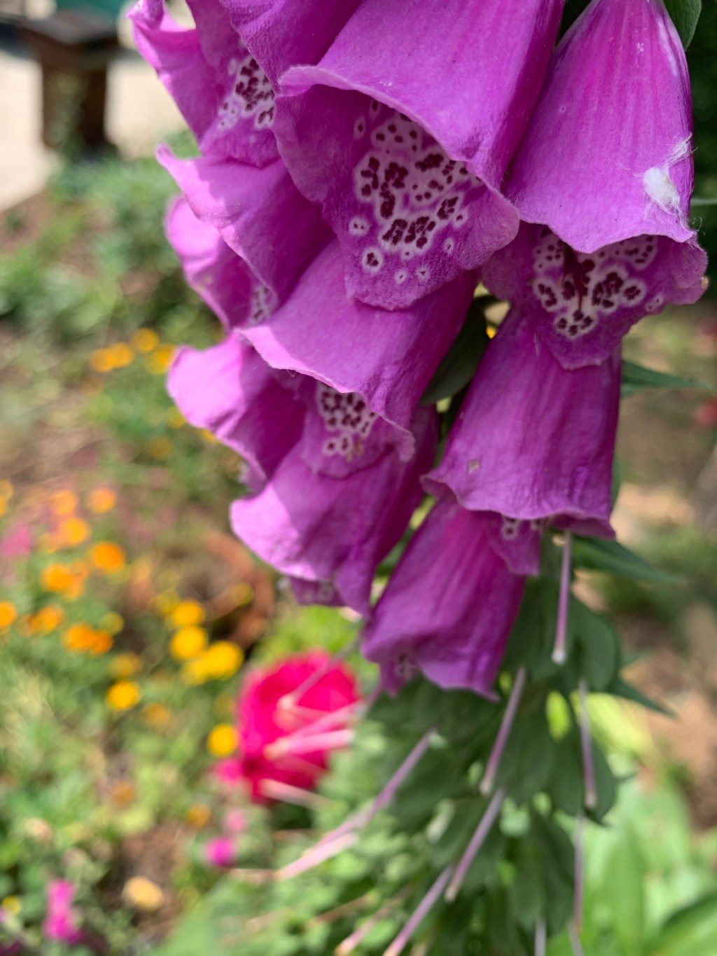 A note from “SE4&nbsp;Sally”