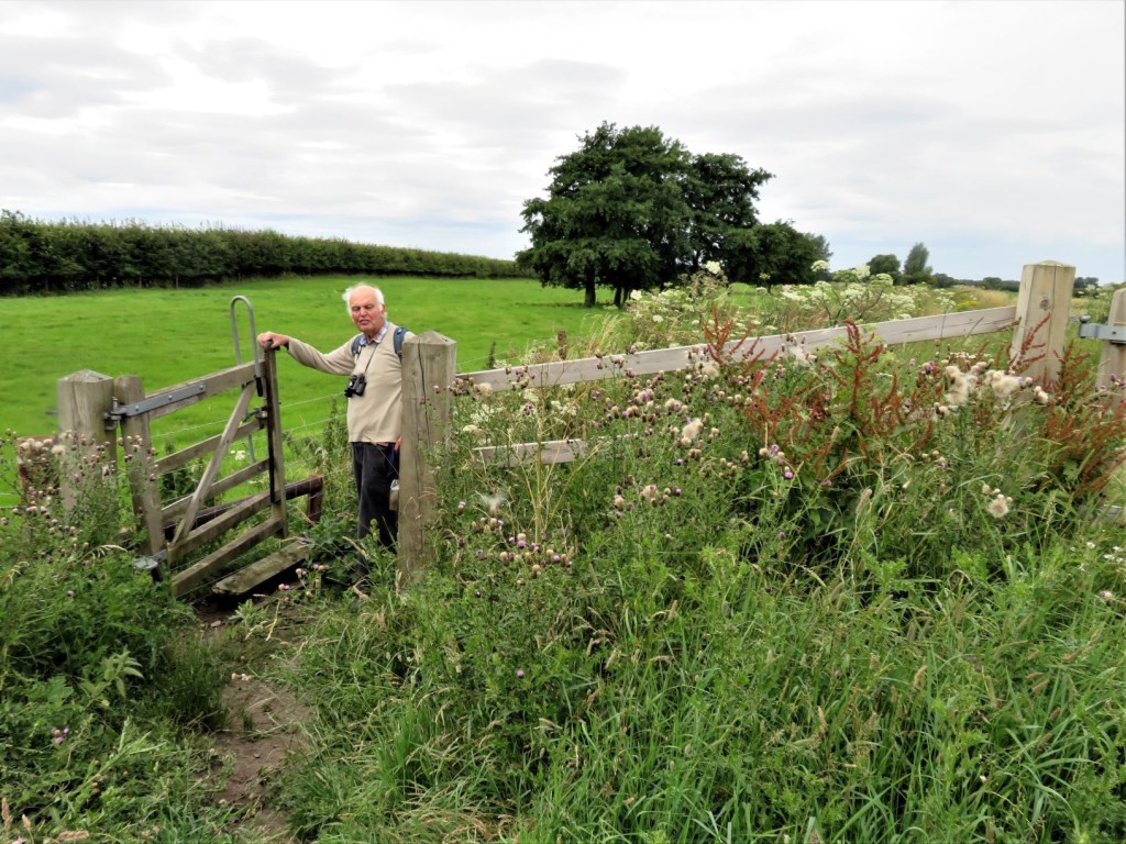 THE NAR VALLEY IN NORFOLK – A FOOT SAFARI DURING THE COVID LOCKDOWN Part 2.