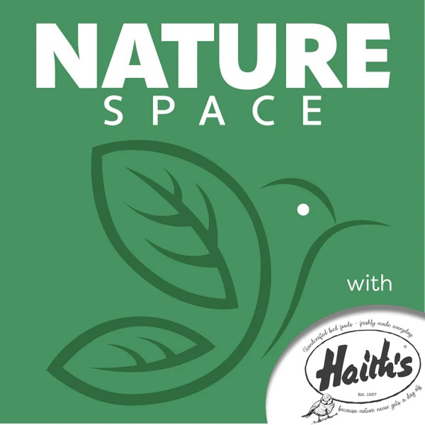 NEW Podcast for nature detectives: Naturespace with Haith’s.